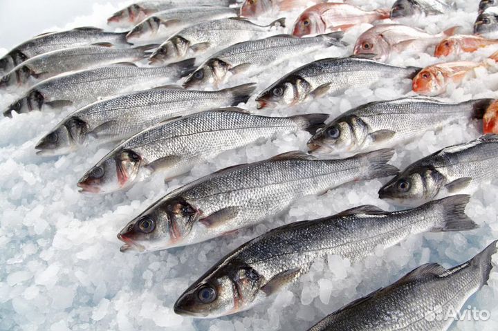 Купите магазин рыбы и морепродуктов