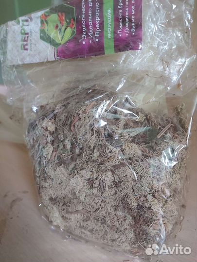 Мох сфагнум для террариумов (улитки например)