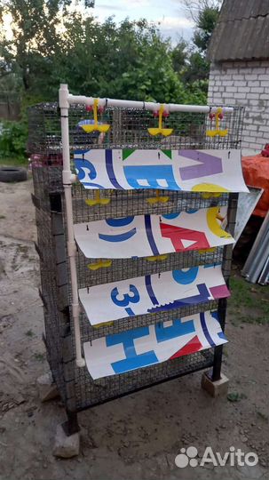 Клетка для перепелок