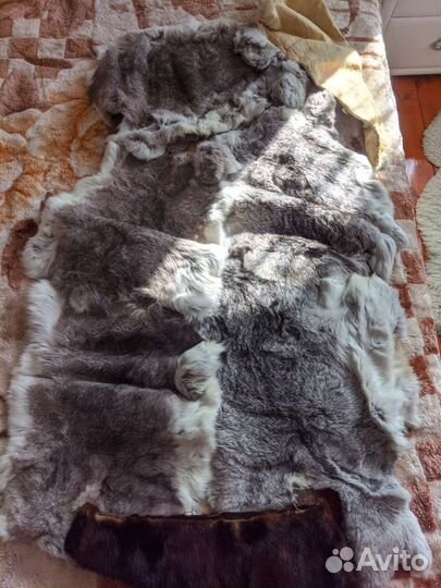 Шкурки кролика