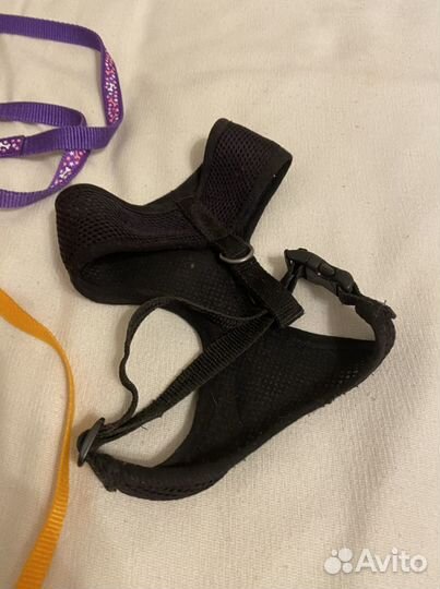 Шлейки для животных