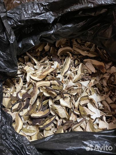 Сухие белые грибы,маховик