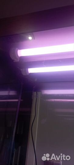 Аквариум juwel rio 240 литров