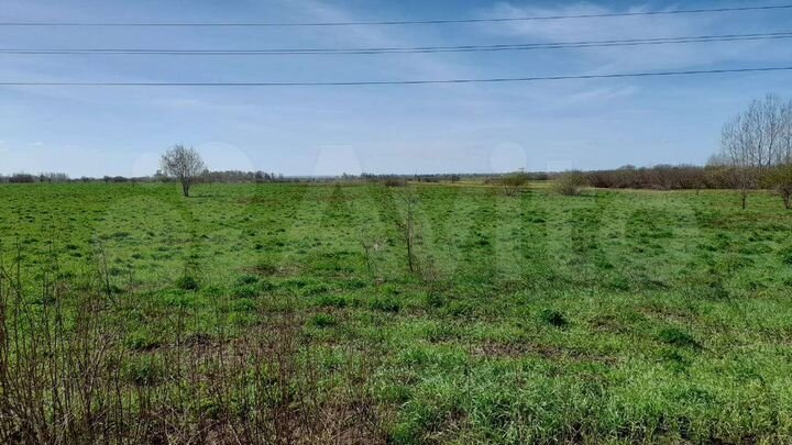 Участок 8 сот. (ИЖС)