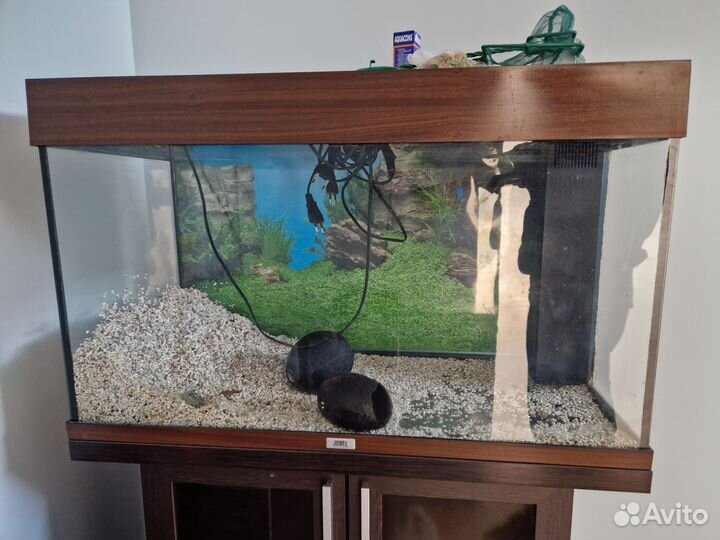 Аквариум juwel с тумбой 120 л