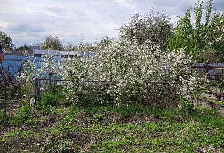 Дача 20 м² на участке 4 сот.