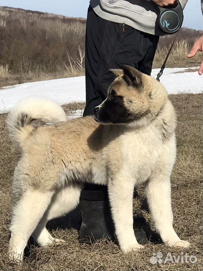 Яркая девочка