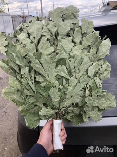 Веники для бани