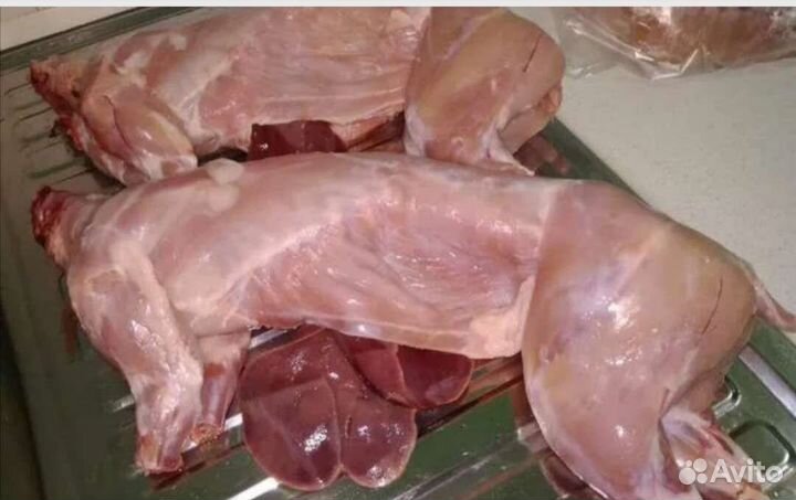 Продам мясо кролика