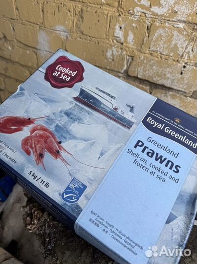 Креветка северная 90 130