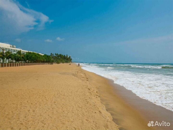 Шри-Ланка в Citrus Waskaduwa