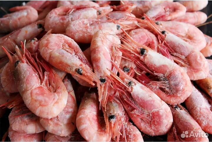 Креветка северная в/м