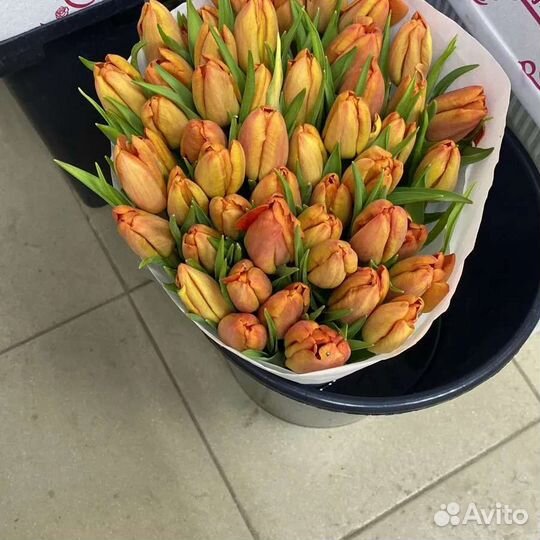 Тюльпаны к 8 марта оптом