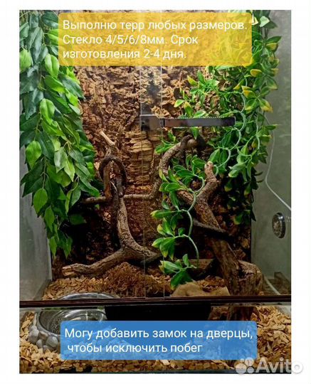 Террариумы на заказ от мастера
