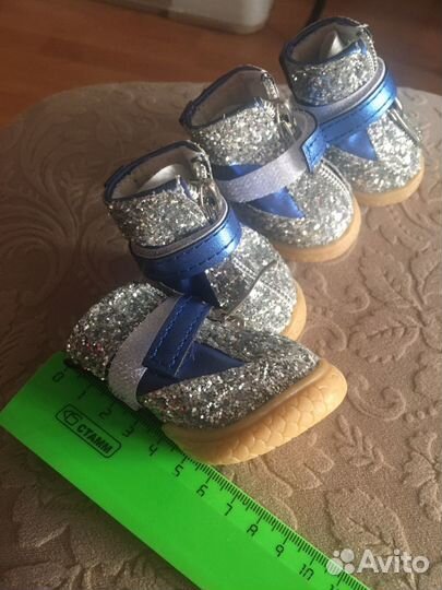 Обувь для маленьких собак