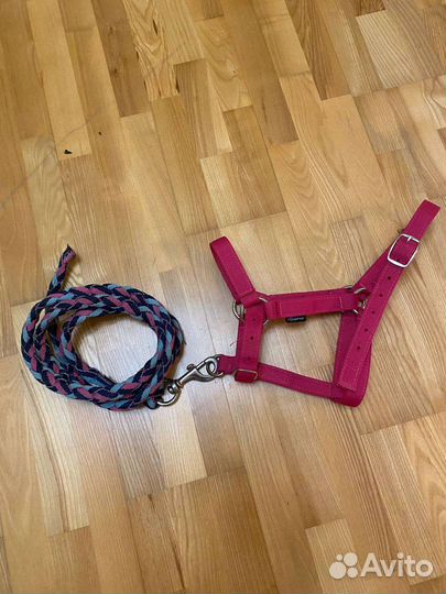 Недоуздок и чомбур