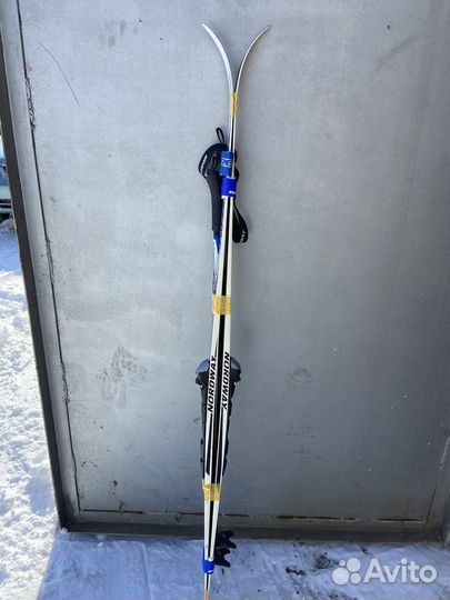 Беговые лыжи