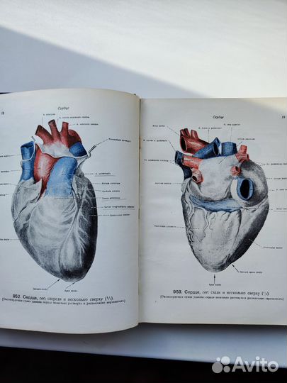 Медицинская литература