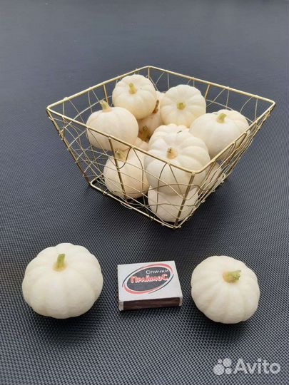 Тыква бэби бу