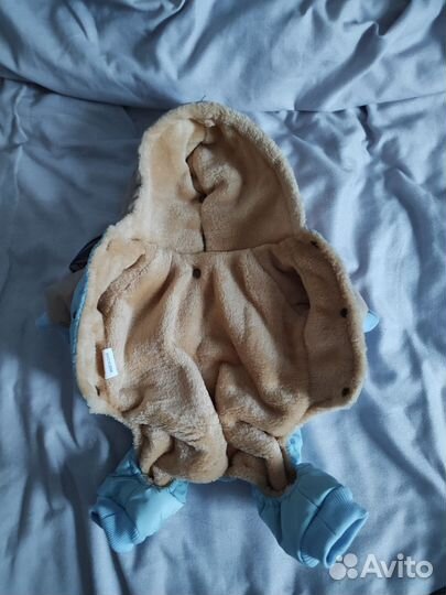 Одежда для маленьких собак