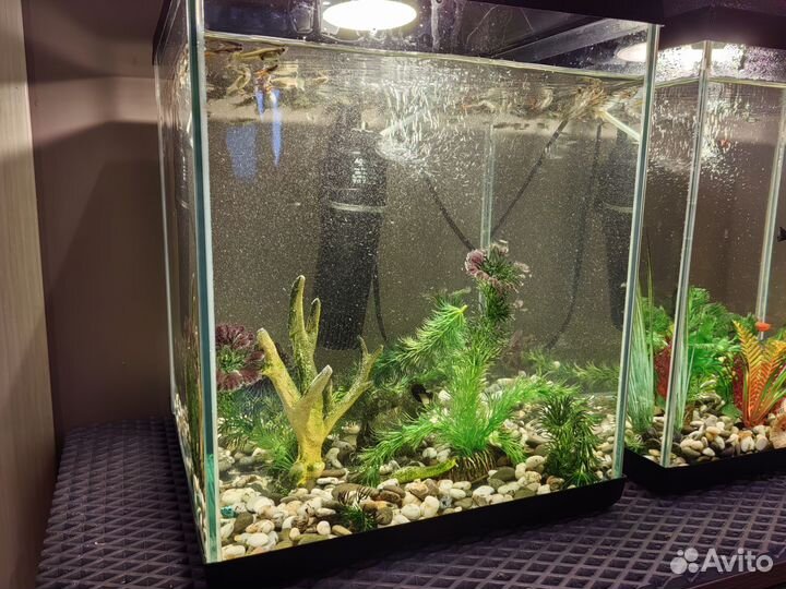 Аквариум