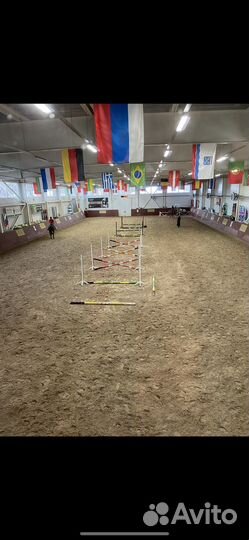 Постой для лошадей