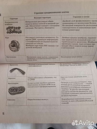 Справочник для подготовки к егэ по биологии