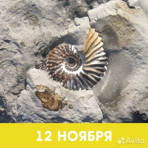 Геопарк Ундория. 12 ноября 2023