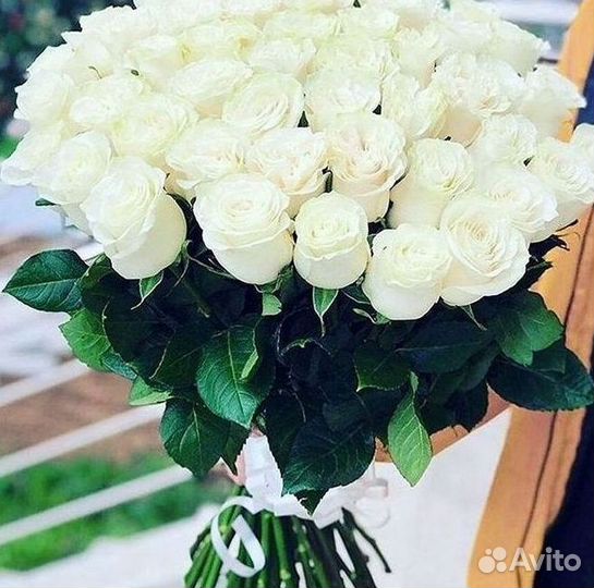 Розы Цветы Букеты 25 51 151 201 101 301 501 опт