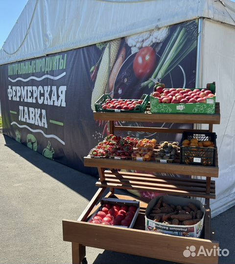 Овощи фрукты