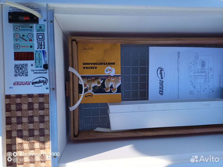 Блиц Норма, Луппер инкубаторы