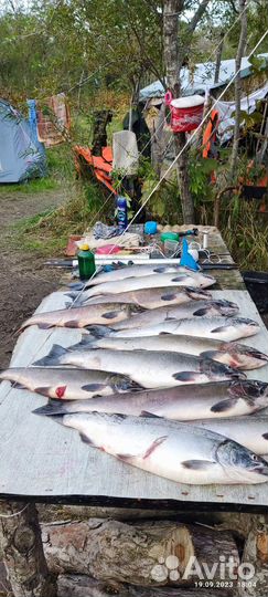 Рыбалка и отдых на Камчатке