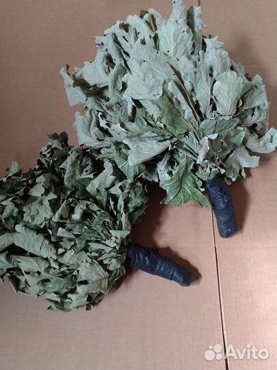 Дубовые веники для бани,сауны