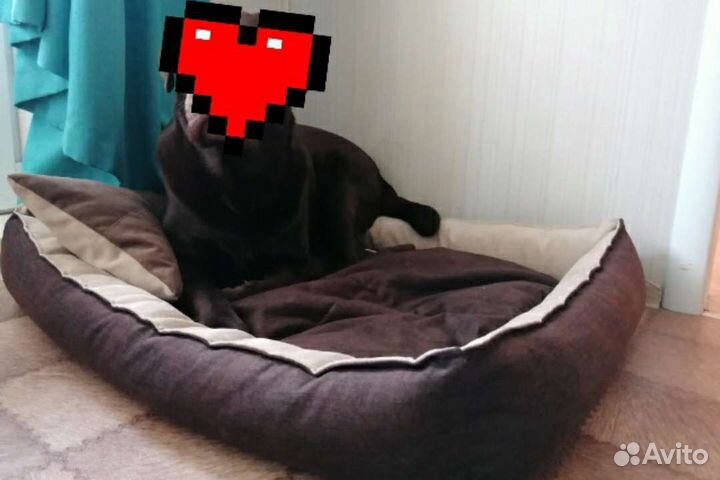 Большие Лежанки новые для собак