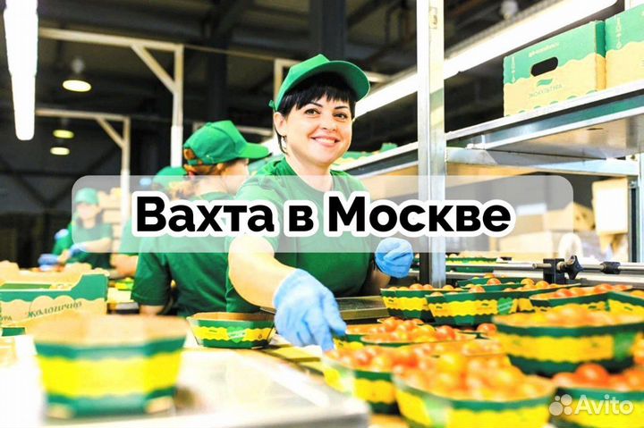 Вахта в Москве/ Маркировщик томатов в Агрокомплекс