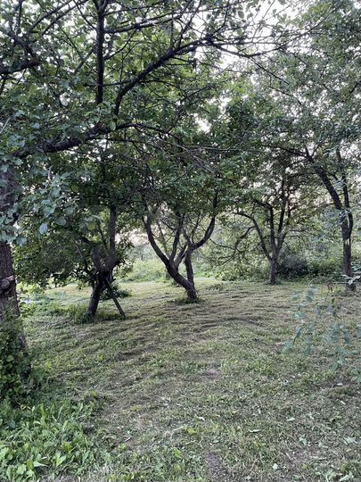 Участок 16,5 сот. (ИЖС)