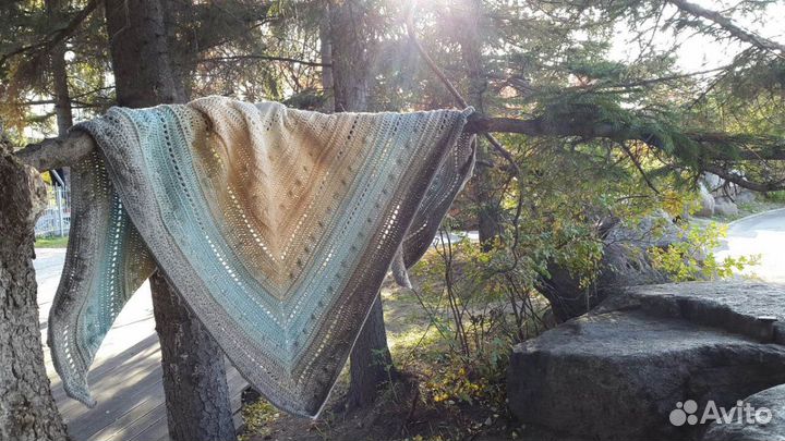 Бактус новый