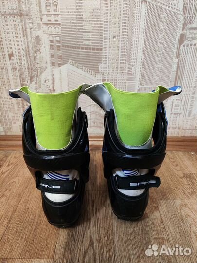 Spine concept skate pro