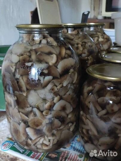 Грибы маринованные