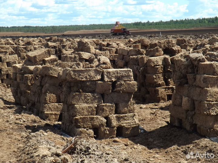 Торф. Хлюпино