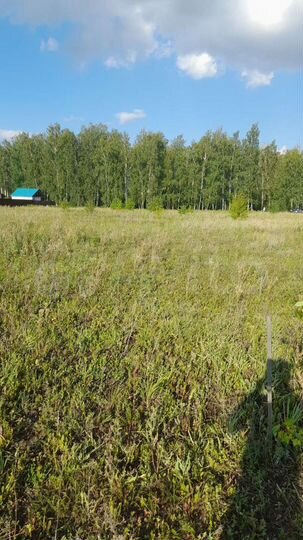 Участок 10 сот. (ИЖС)