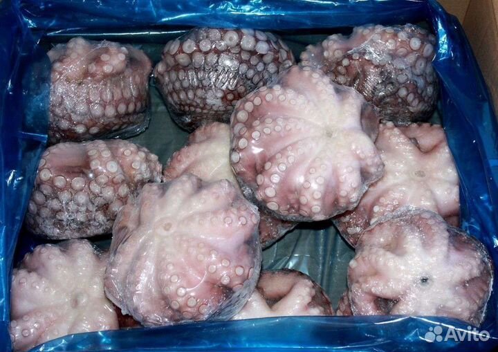 Осьминог Шар