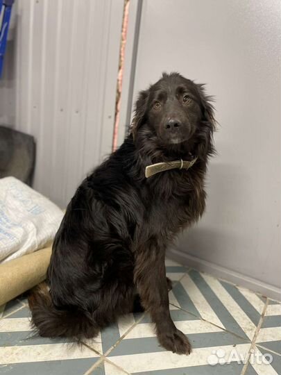 Борис Николаевич