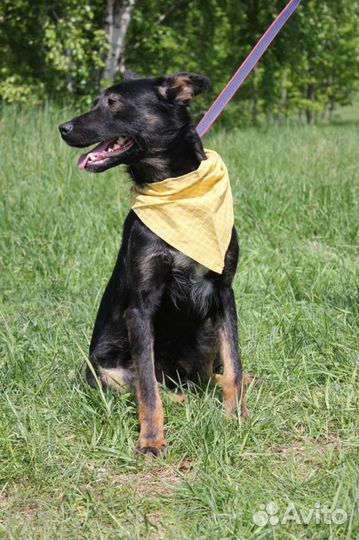 Трепетный и ласковый малыш Виктор ждет в клетке