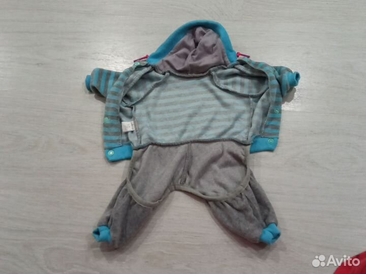 Одежда для маленьких собак