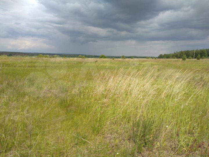 Участок 12,28 га (СНТ, ДНП)