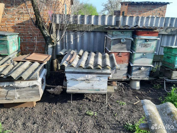 Ульи для пчел