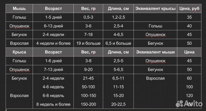 Корма для экзотических животных