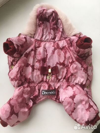 Одежда для собак