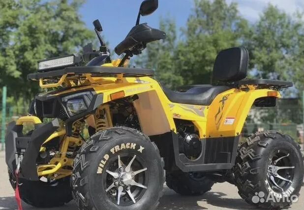 Квадроцикл Motoland Wild Track X 200 PRO